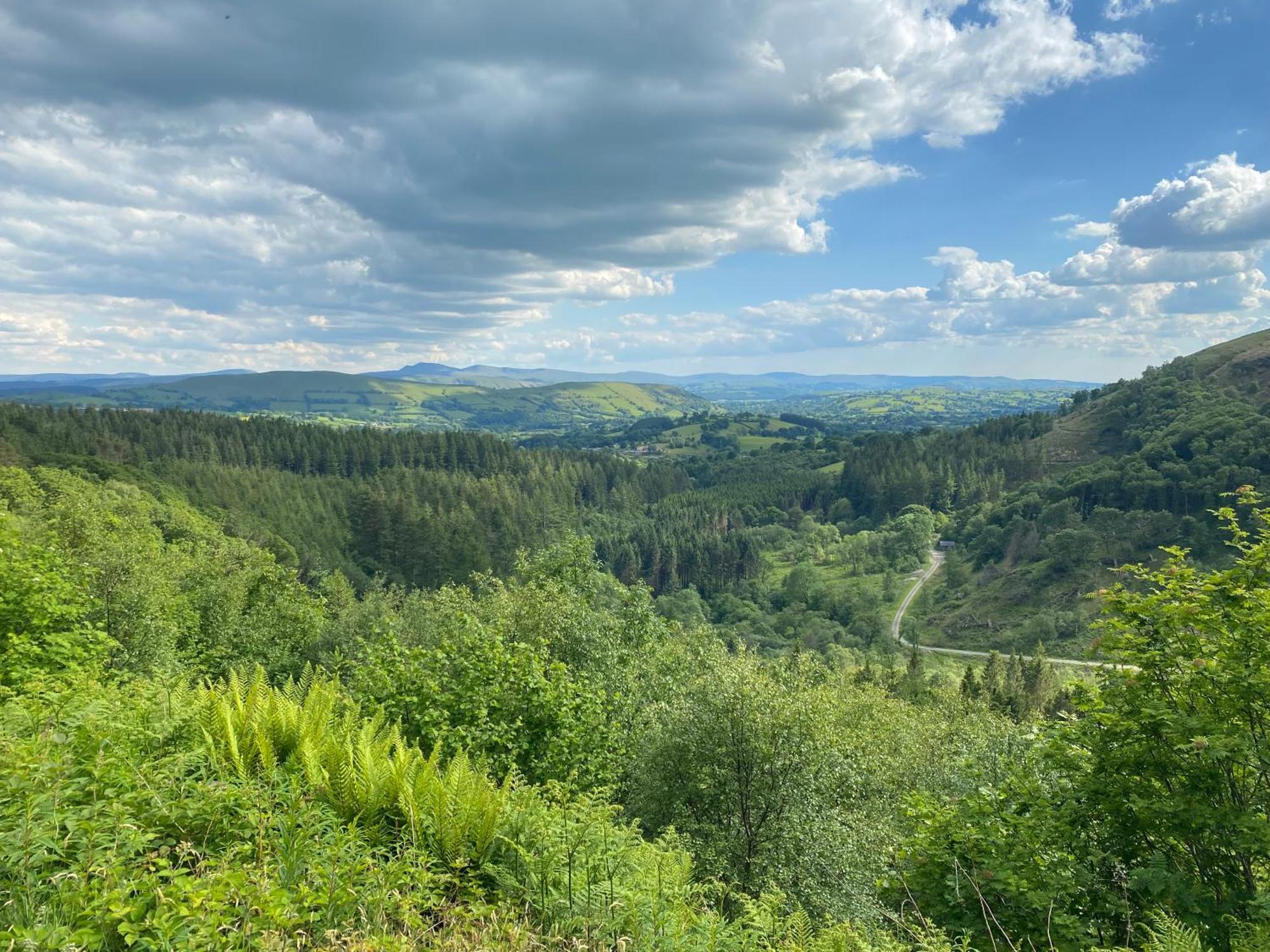 Bronfelin & Troed-Y-Rhiw Holiday Cottage Llanwrtyd Wells Εξωτερικό φωτογραφία