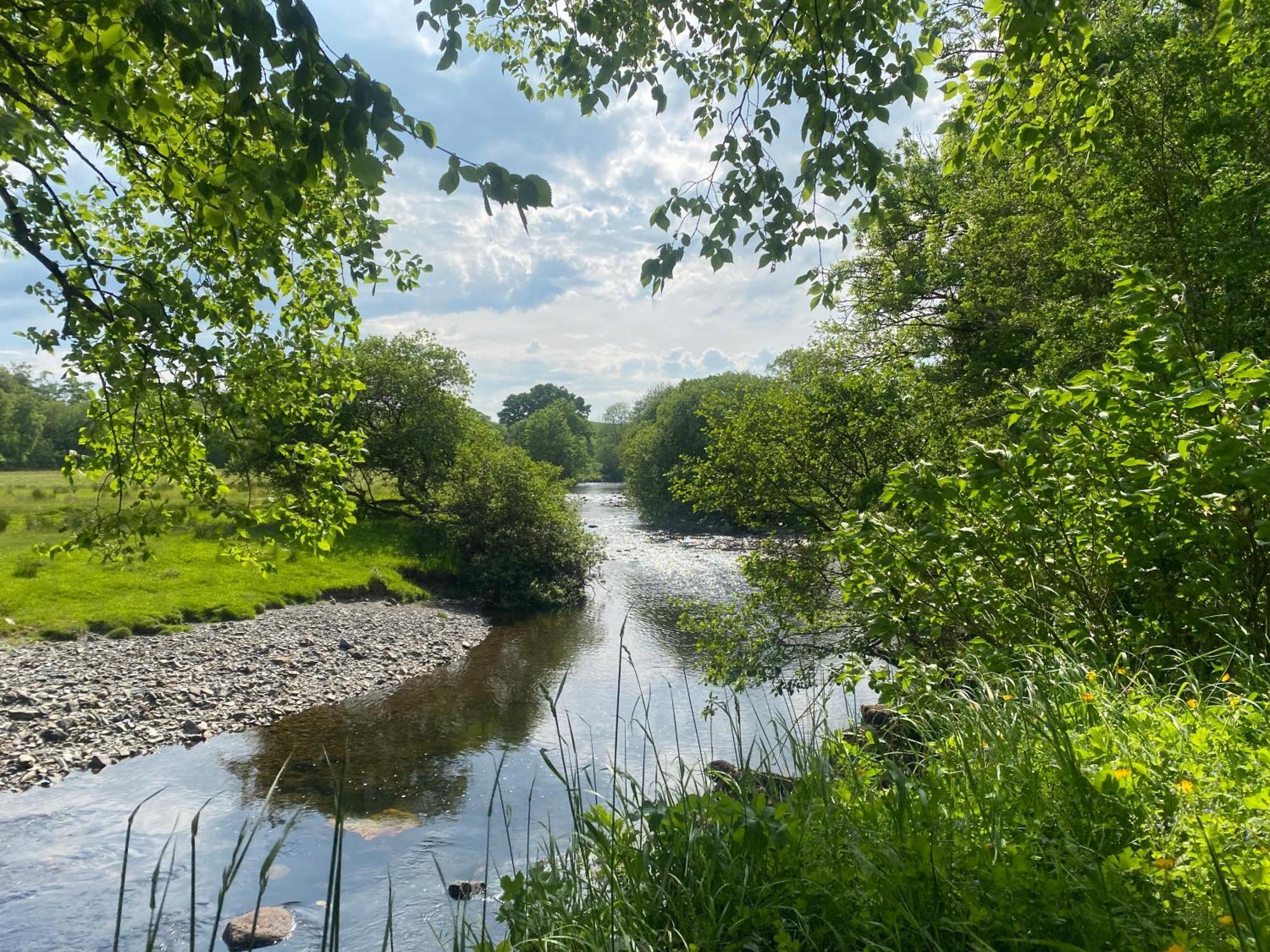 Bronfelin & Troed-Y-Rhiw Holiday Cottage Llanwrtyd Wells Εξωτερικό φωτογραφία