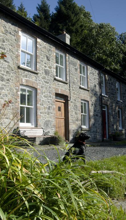 Bronfelin & Troed-Y-Rhiw Holiday Cottage Llanwrtyd Wells Εξωτερικό φωτογραφία